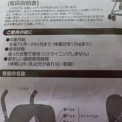 バギー(中古)説明書あり！１月１５日まで。の画像