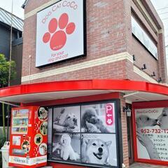 名古屋市 駅近 新卒ペットサロン トリマーさん 大募集