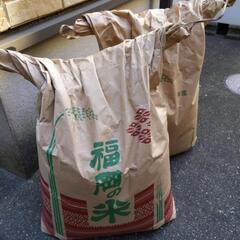 お話中です！ 令和4年産 お米 2袋価格！(1袋 約20キロ)