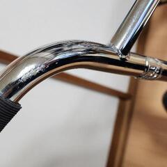 STOLEN BRANDのBMXの画像