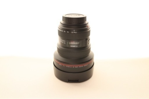 【超美品】Canon EF11-24F4L USM キヤノン