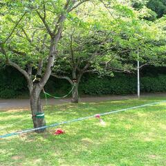 2023/10/15 千葉県八千代市でスラックラインやります