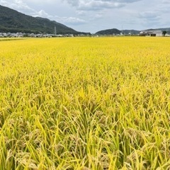 ※予約！　お米（ヒノヒカリ）どなたか買って頂けませんか？