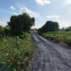 貸地　関東地方での小屋暮らし用地をお探しの方へ - 不動産