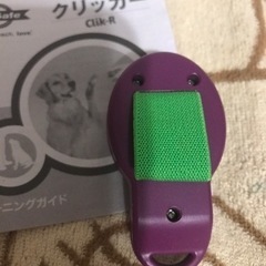 12/10まで❣️ 犬の躾　クリッカー　の画像