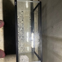 爬虫類を飼育して居たゲージと餌のデュビアです