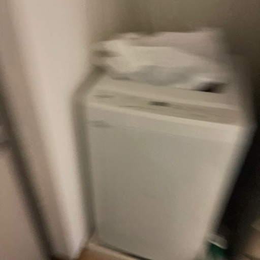 家電 生活家電 洗濯機