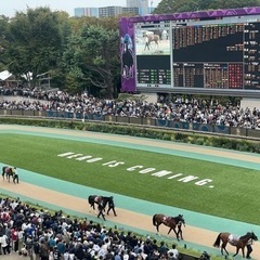 秋華賞！秋の競馬〜