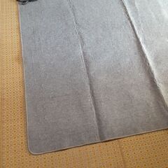 ホットカーペット（現在、交渉中です。）