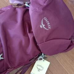 Osprey オスプレー RENN 50 レン 50L　ザック　リュック　登山　投げ売りセールの画像