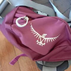 Osprey オスプレー RENN 50 レン 50L　ザック　リュック　登山　投げ売りセールの画像