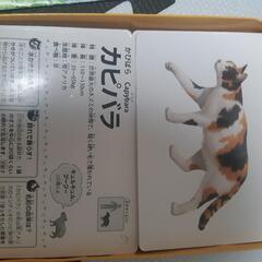 知育玩具セットの画像