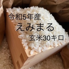 令和5年『えみまる』玄米30キロ8000円[残り7袋]の画像