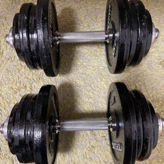 ファイテングロード　ダンベル　計51kg