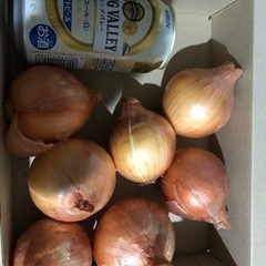 玉ねぎ作ってもらえませんか？