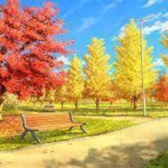 これから紅葉の時期ですね♪　一緒に公園を散歩してくれる人いませんか？