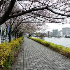 おじさんがお話をお聞きます