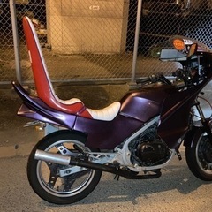 vt250fe 早い者勝ち の画像