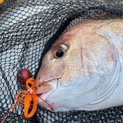 釣りメンバー募集 - 友達