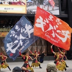よさこいチーム東京ギバチ　メンバー募集のお知らせ