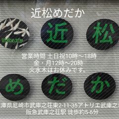 ★近松めだか（緑光系鋼（はがね）メダカ）の画像