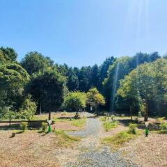 【10/14（土）】キャンプ場での草刈り、草取り、草むしりの画像