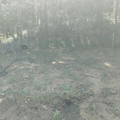 【10/14（土）】キャンプ場での草刈り、草取り、草むしりの画像