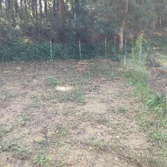 【10/14（土）】キャンプ場での草刈り、草取り、草むしりの画像