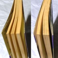 【希少人気ノベルズ】谷恒生「飛驒一等航海士(2刷・帯付き)」・・・35歳独身の一等航海士の過去を誰も知らない。彼が船と海を捨てる日が刻々と近づいている・・・の画像