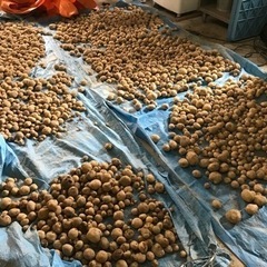 農業、自給自足を勉強しませんか？ − 三重県