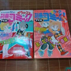 デラックス別冊少女コミック　小学館少女マンガ雑誌11冊の画像