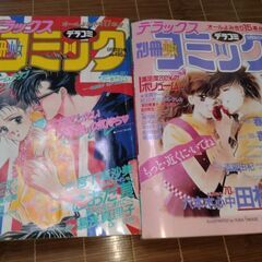 デラックス別冊少女コミック　小学館少女マンガ雑誌11冊の画像