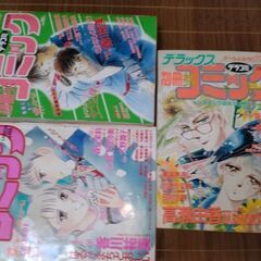 デラックス別冊少女コミック　小学館少女マンガ雑誌11冊の画像