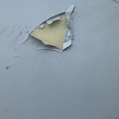 カラズマット【ジャンク品】の画像