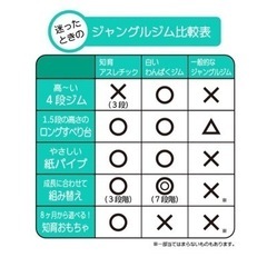 ピープル 白いわんぱくジム 室内遊具の画像