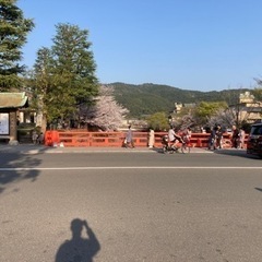 ずっとお話しできるような方に出会えれば…