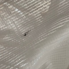 レースカーテン4枚2組の画像