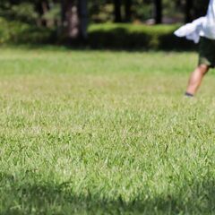 親子で楽しむキッズフィットネス