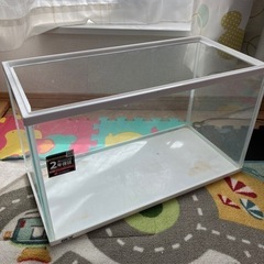 大きな水槽　ガラス水槽　訳あり