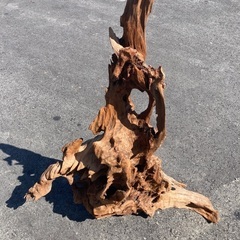 値下げ　流木のオブジェ