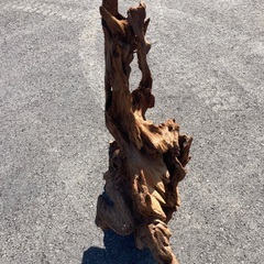 値下げ　流木のオブジェの画像