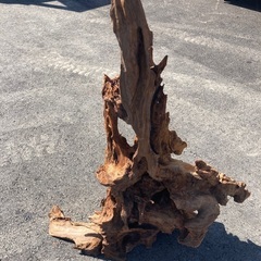 値下げ　流木のオブジェの画像