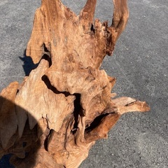値下げ　流木のオブジェの画像