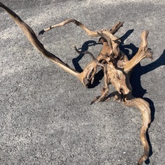 値下げ　流木　オブジェの画像