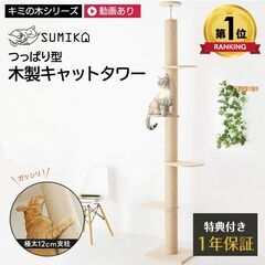 キャットタワー