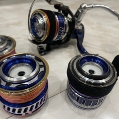 カーディフネイティブスペシャルs54ul