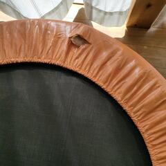 普通の　トランポリンですの画像