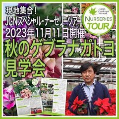 秋の ゲブラナガトヨ見学会