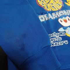 ポケモン他トレーナーの画像