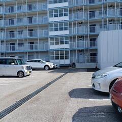   ジヨーバ  ダイエット 体幹トレーニング  腰痛改善の画像